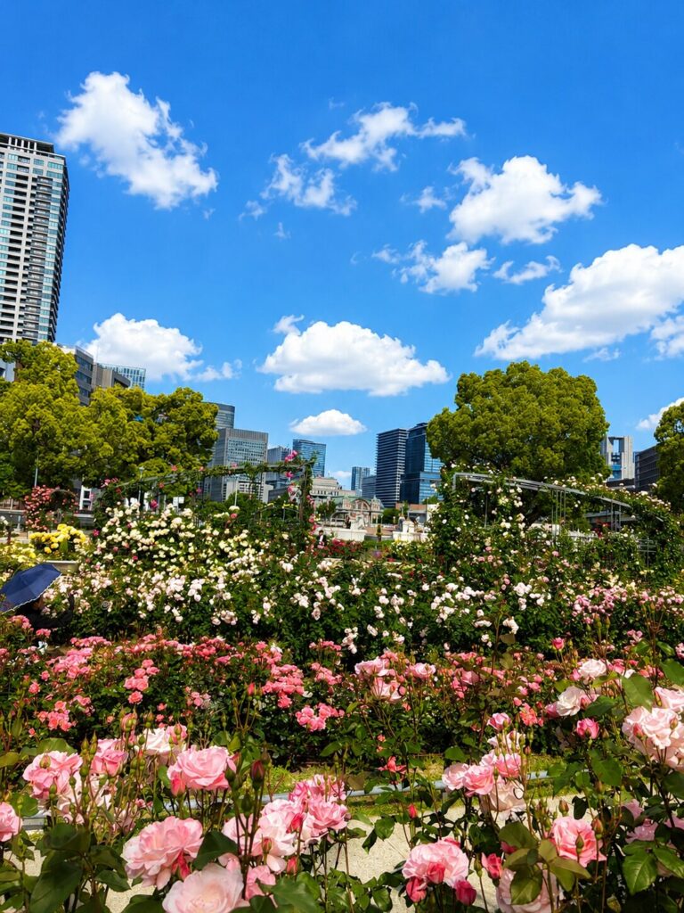 青空と高層ビルを背景に咲く中之島バラ園のピンクのバラ