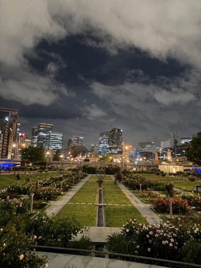 ライトアップされた夜の中之島バラ園と高層ビルの夜景