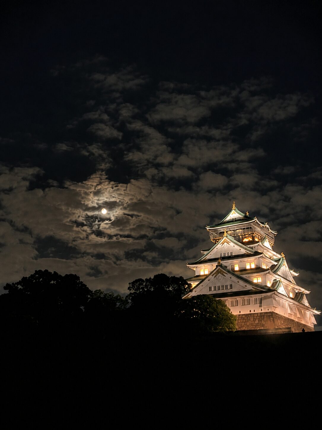 夜にライトアップされた大阪城と月