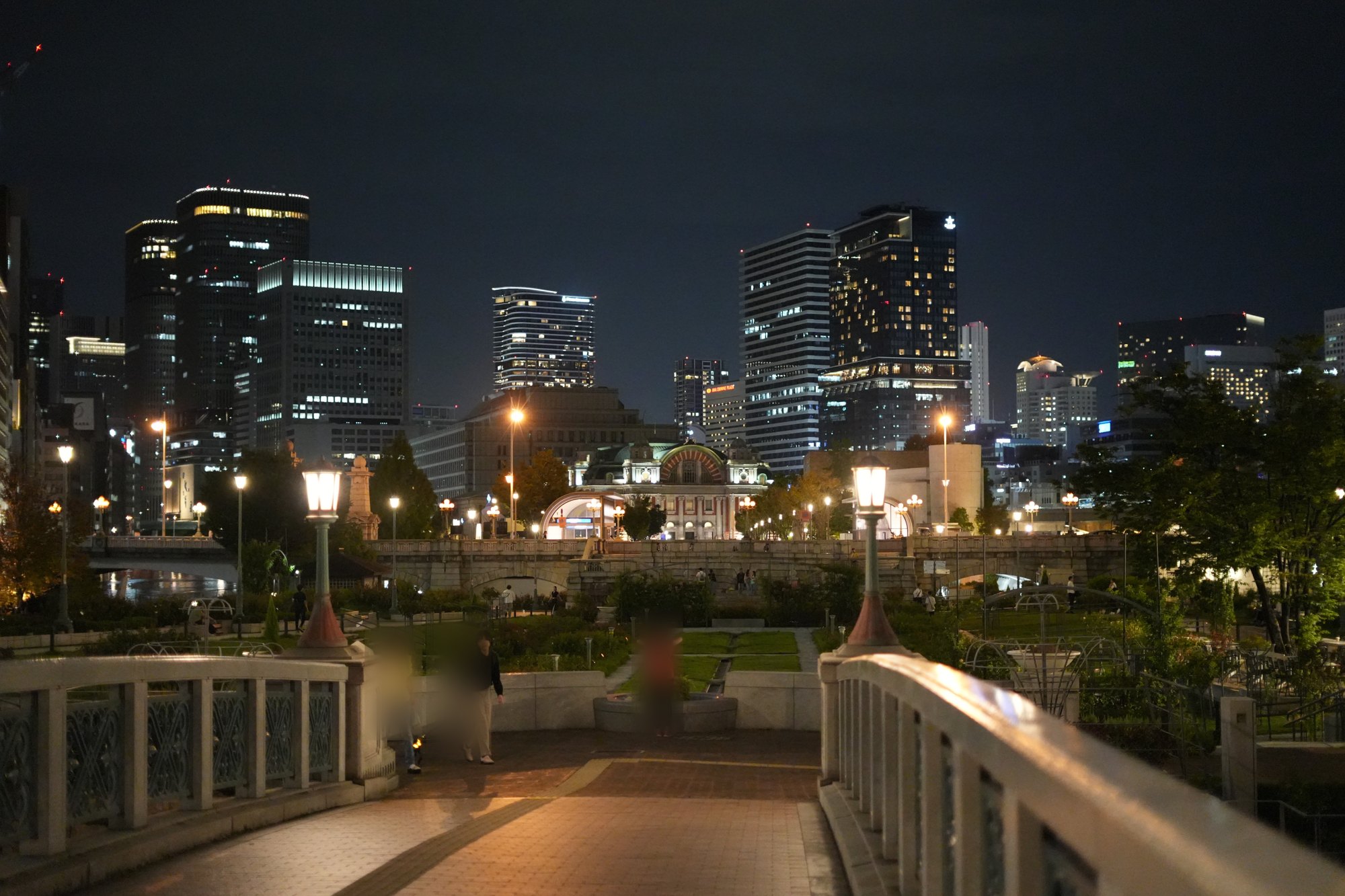 バラ園越しに望む中央公会堂