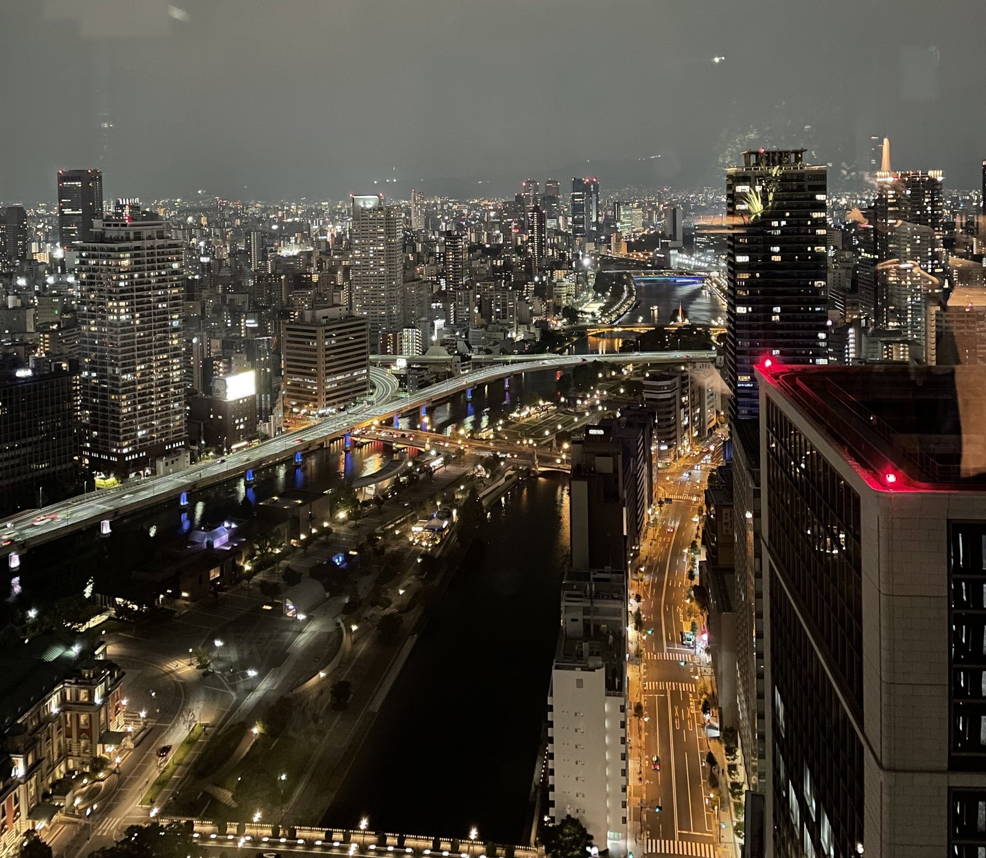 高層階から見下ろした中之島の夜景