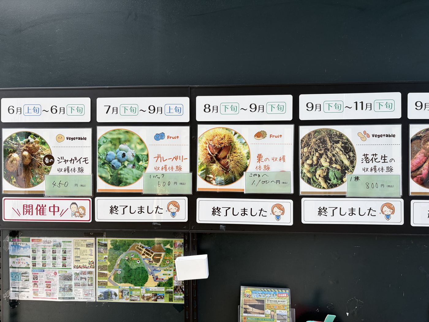 香南アグリームの季節ごとの収穫体験スケジュール