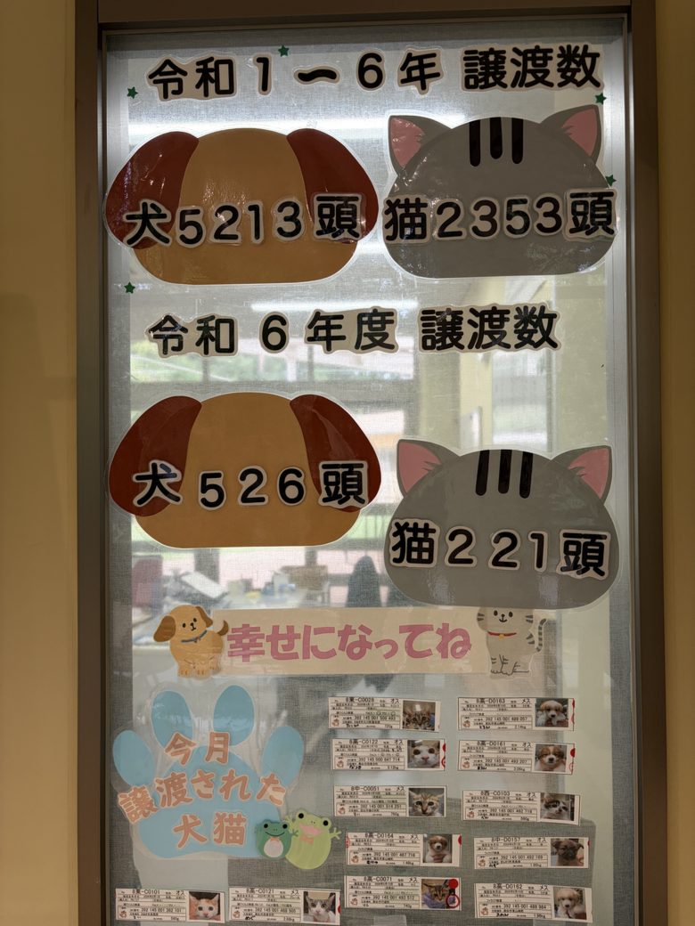しっぽの森のこれまでの犬猫の譲渡数の掲示