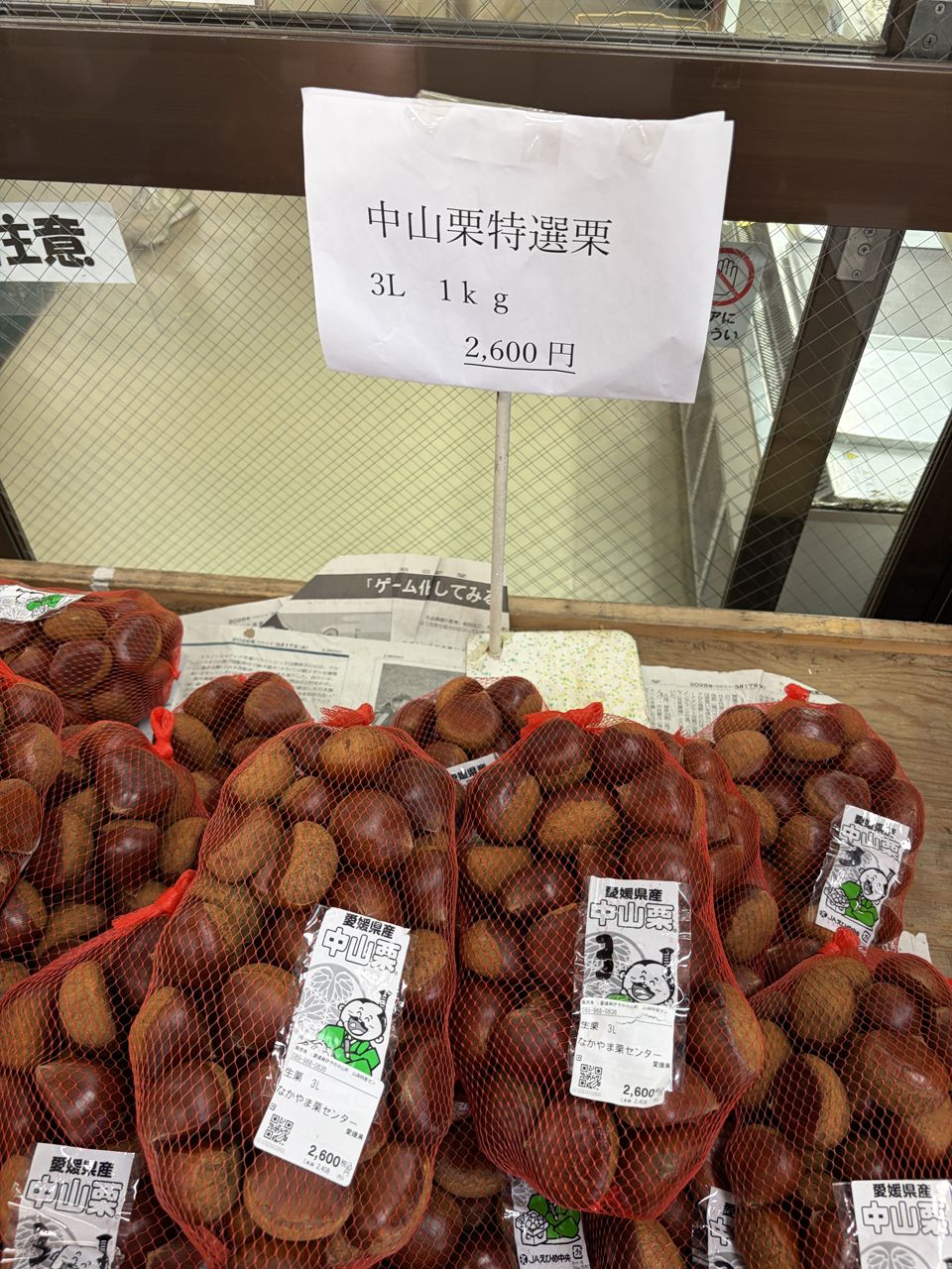 中山栗特選栗3L・1kg・2,600円の値札と生栗