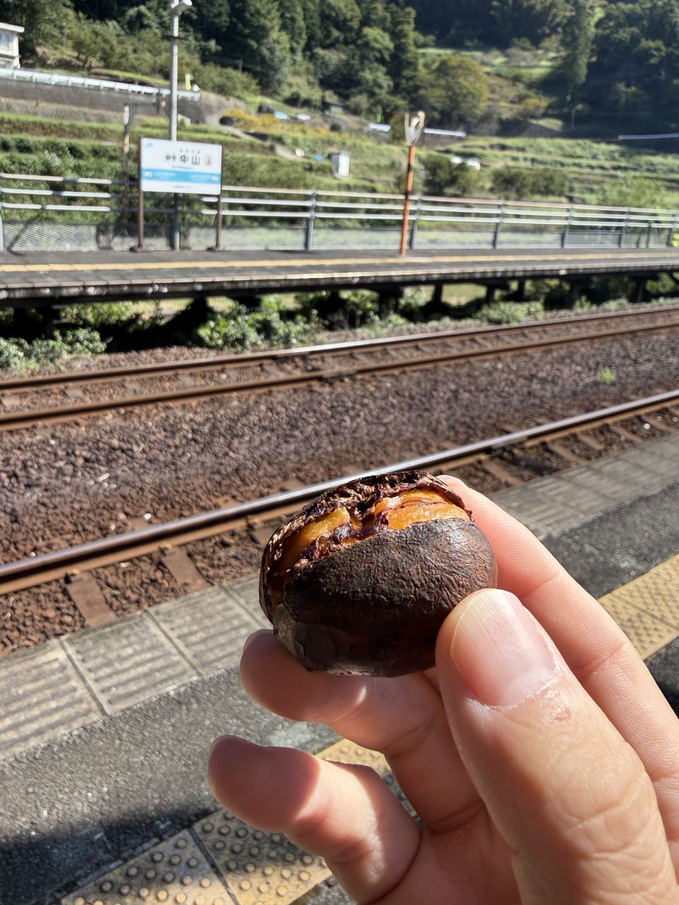 伊予中山駅を背景に焼き栗を持つ手